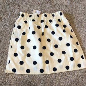 J Crew Skirt
